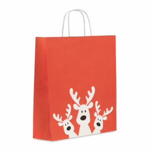 Sac cadeau grand format