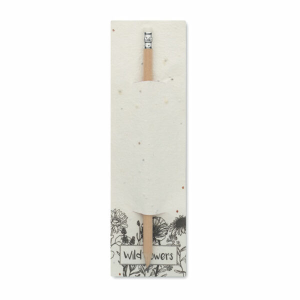 Crayon à papier et graines