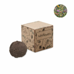 Boule graines de fleurs sauvage