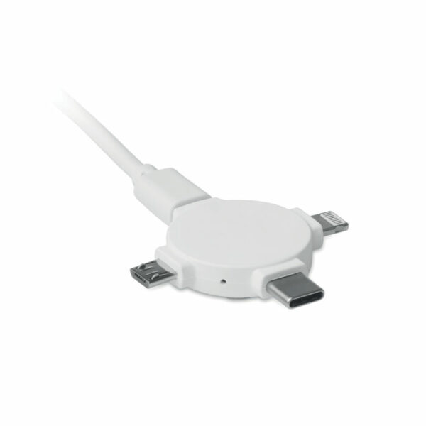 Câble avec adaptateur 3 en 1